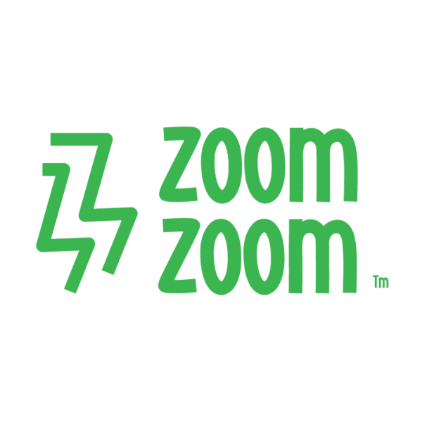 ZoomZoom logo